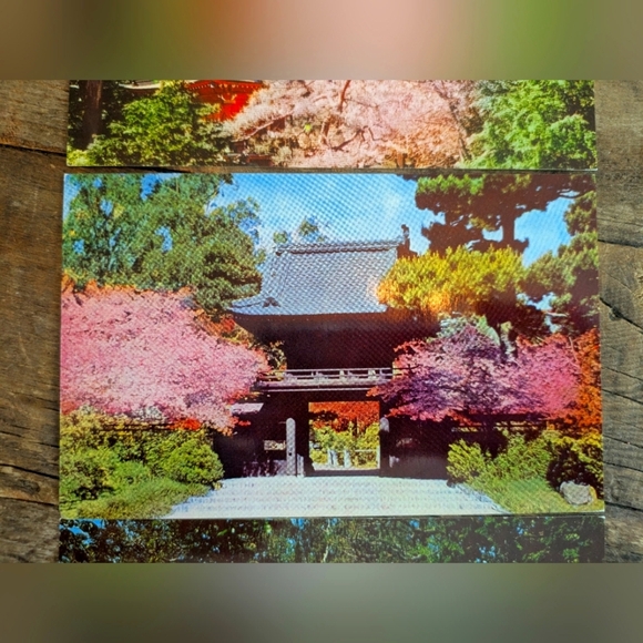 San Franscisco Vintage Postcards Unused Gloss Japanese Tea Golden Gate Bridge - Picture 4 of 10